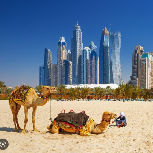 Arabian Marvels Dubai with Abu Dhabi City Tour – 6 Nights