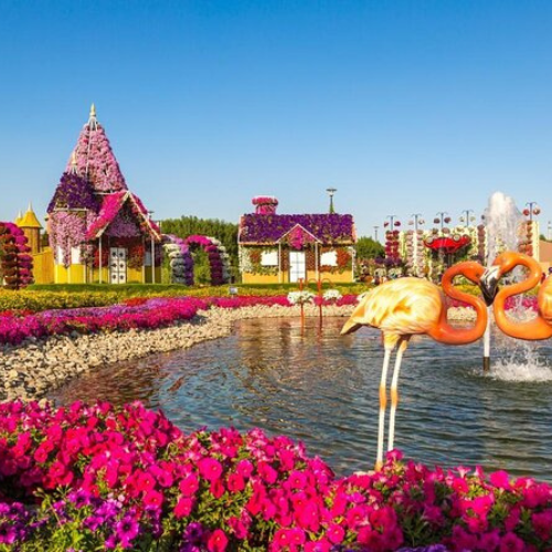 Miracle Garden Dubai